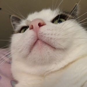 Meet your Posher, Barbara